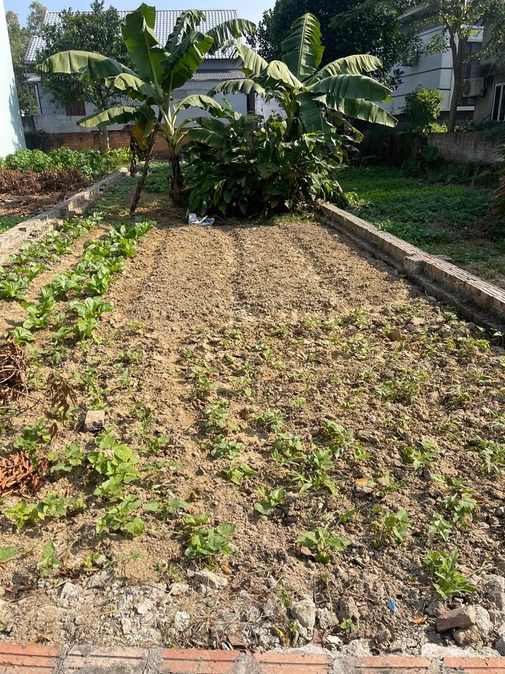 Đất Tân Dân Sóc Sơn 100m² giá 2.4 tỷ - Ô tô đậu cửa, cơ hội đầu tư tuyệt vời!