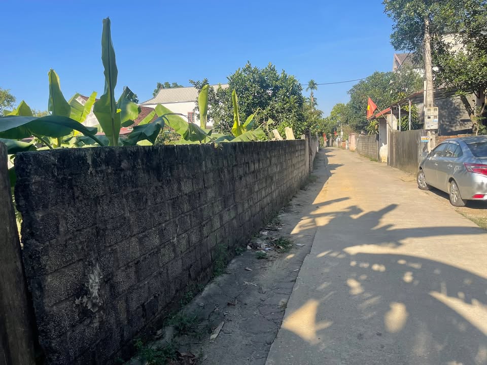 Đất nền xã Trần Phú, Chương Mỹ 500m² - Giá chỉ vài triệu/m², thuận tiện giao thông!