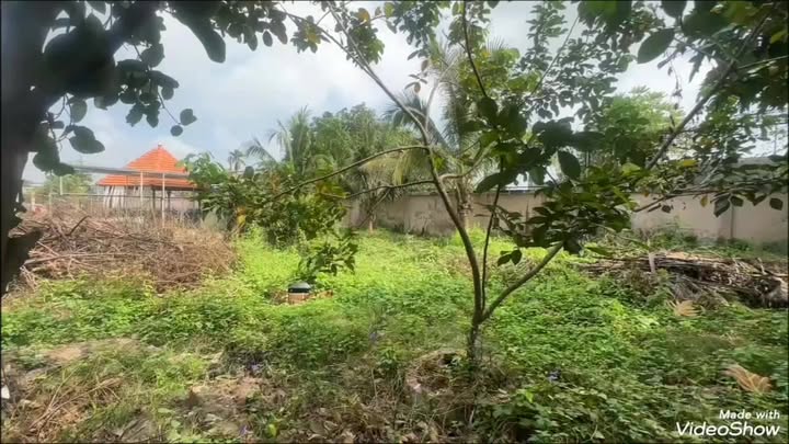 Đất vườn 1508m² Tân Phú Trung, Củ Chi chỉ 16.5 tỷ - Cơ hội đầu tư hấp dẫn!