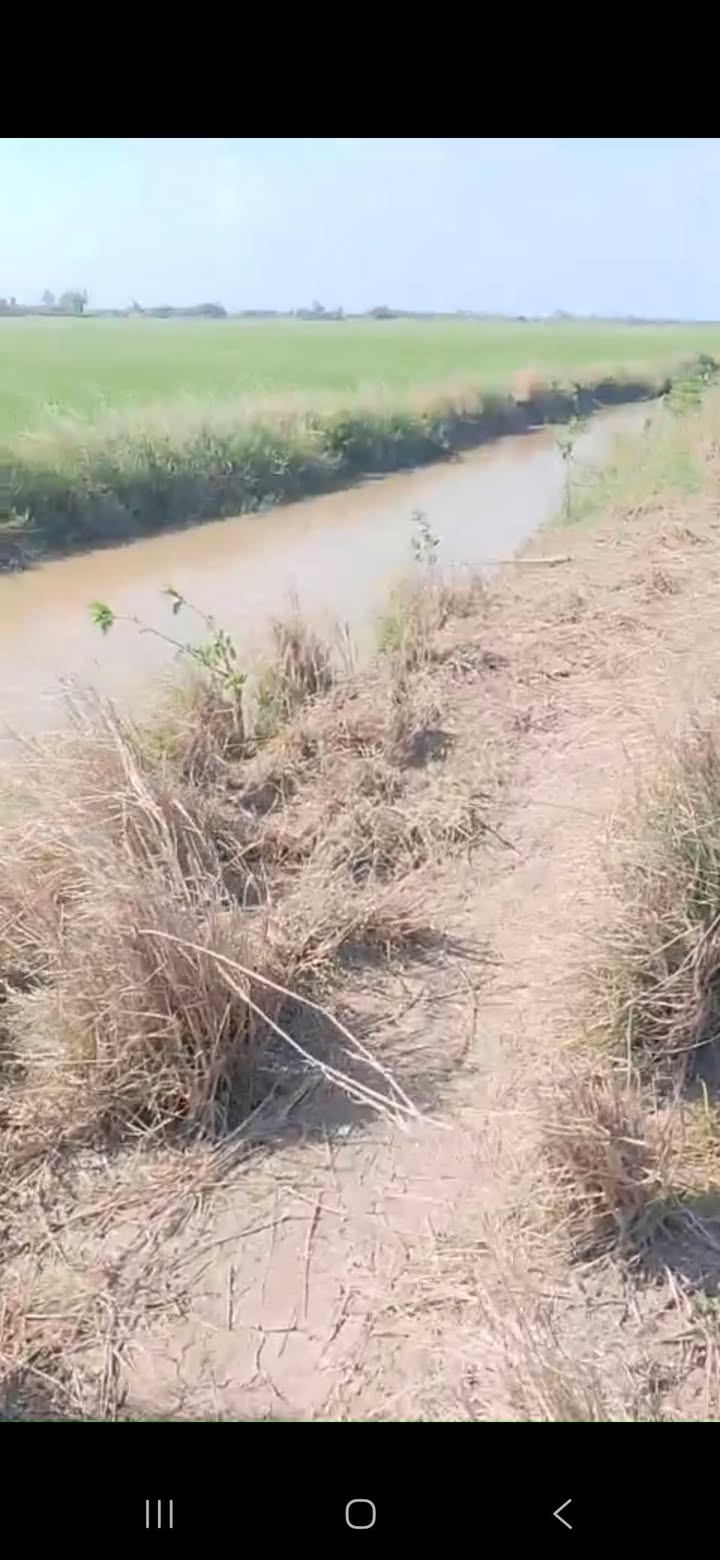 Đất nông nghiệp 4600m² mặt tiền bờ kênh 120m tại ấp Nam Chánh - Giá chỉ 360 triệu