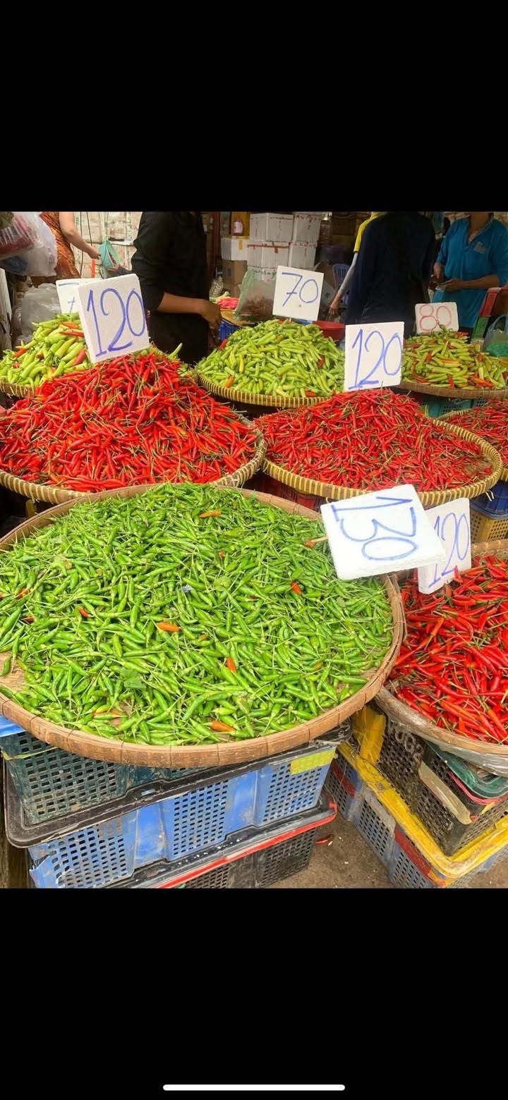 Dãy trọ 4 phòng đường Lương Văn Can, Đà Nẵng 82m² giá 6.35 tỷ - Đầu tư sinh lời ngay!