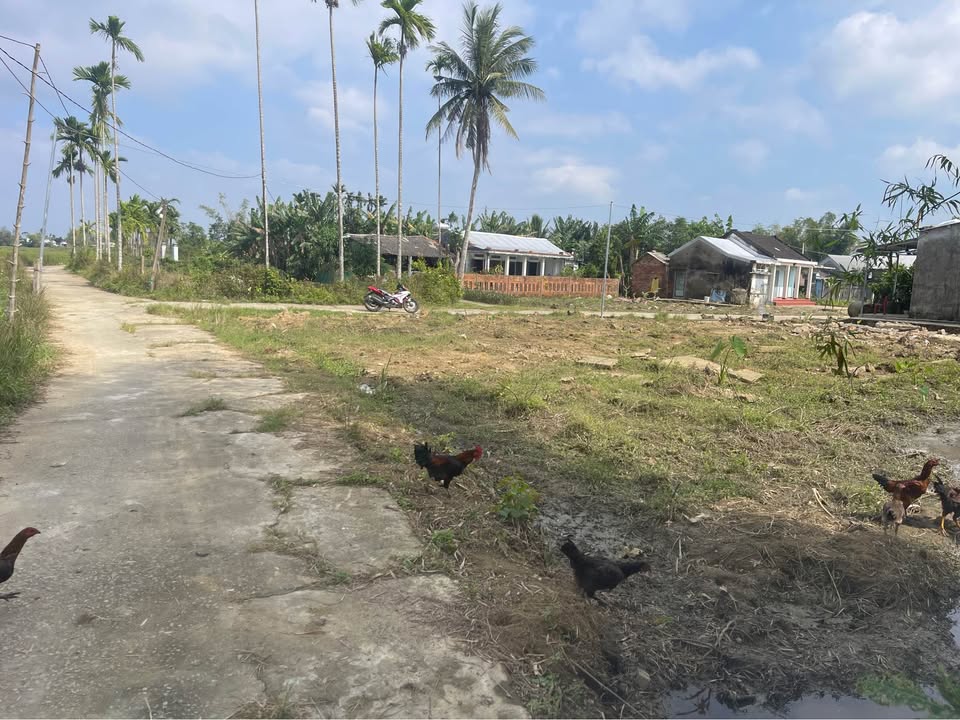 Đất nền Thăng Điền Đà Nẵng 308m² giá chỉ 500 triệu - Lô góc 2 mặt tiền thông thoáng!