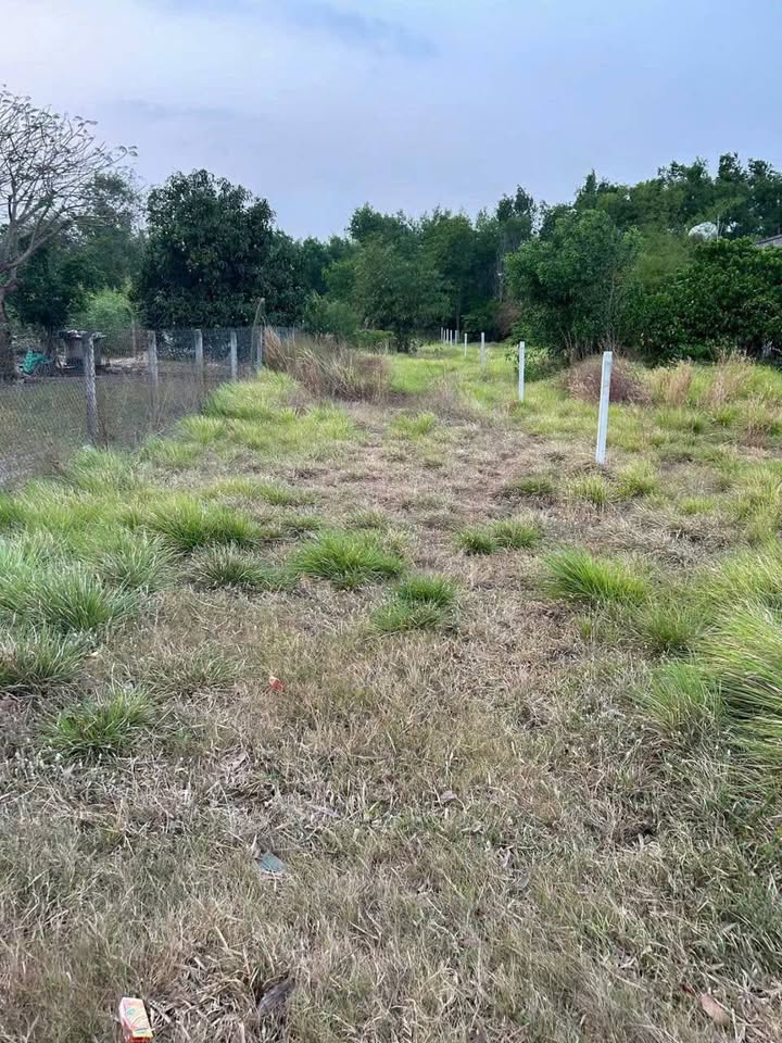 Đất thổ cư 445m² tại Phước Thuận - Giá 1.6 tỷ - Đầu tư sinh lời cao!