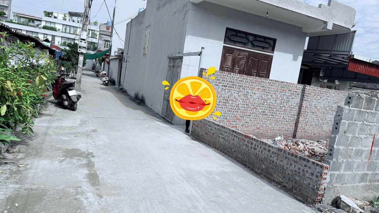 Đất nền Diêm Điền Thái Thụy 65m² giá chỉ 1 tỷ - Đầu tư sinh lời