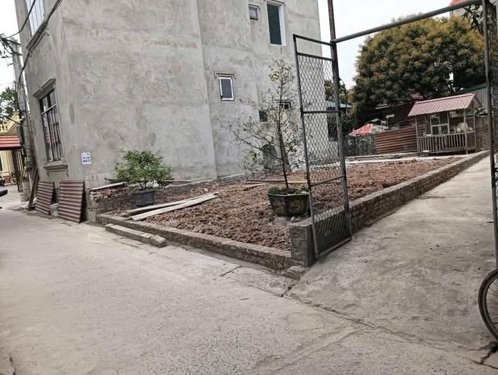Đất nền Lưu Xá, Quất Động, Thường Tín 80m² giá 500 triệu - Mặt đường chính ô tô tránh!