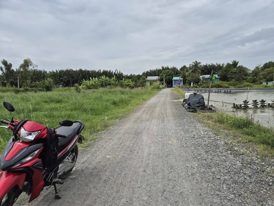 Đất thổ cư Tân Chánh 104m² giá 450 triệu - Đường xe hơi, dân cư đông đúc!