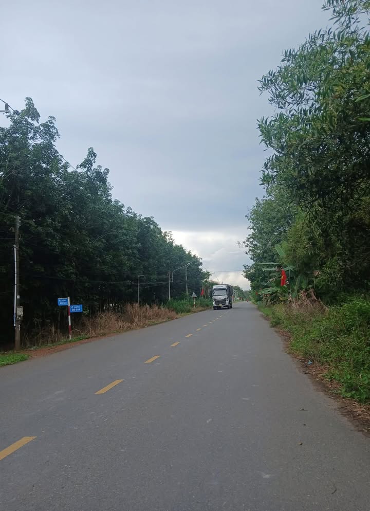 Đất nền Củ Chi 8000m² giá 5 tỷ - Phù hợp làm kho xưởng