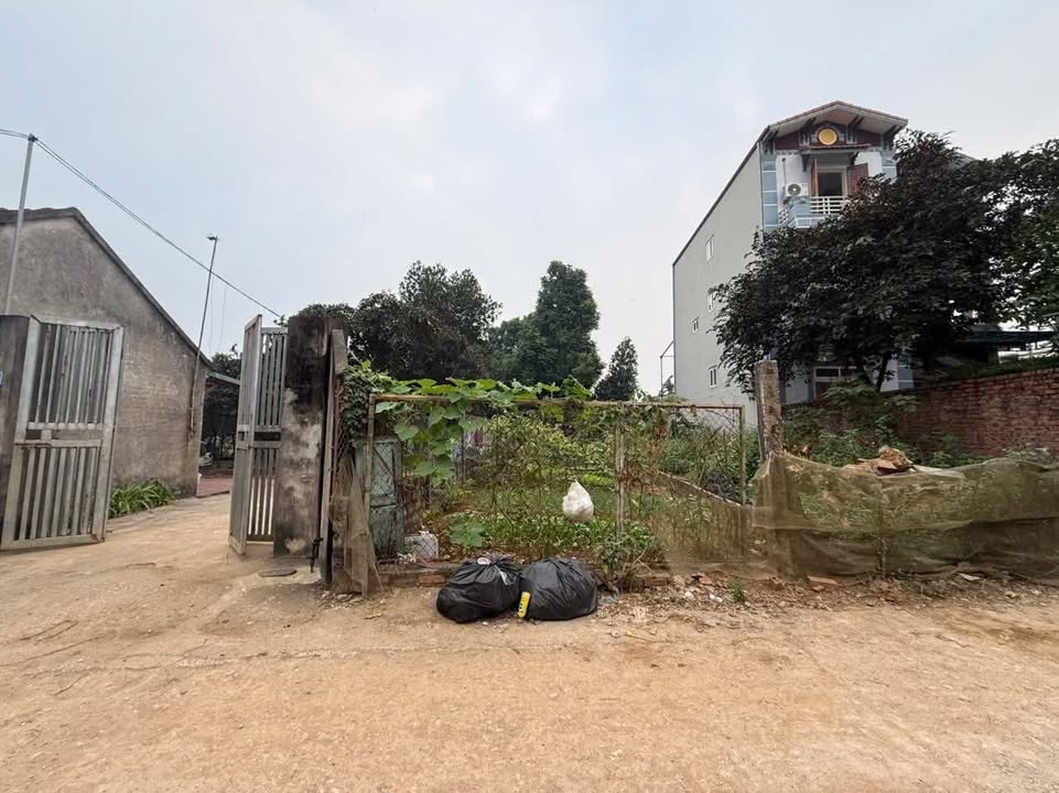 Đất thổ cư thôn 7, Tân Xã 109m² - Giá mềm, đầu tư sinh lời!