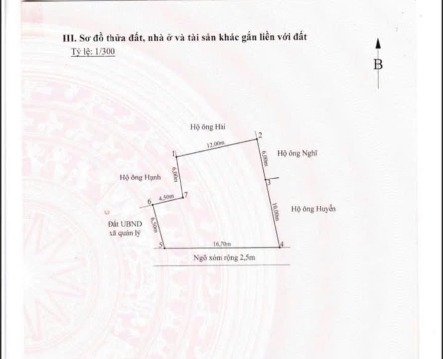 Đất thổ cư 200m² tại Vinh Quang, Vĩnh Bảo, Hải Phòng chỉ 1 tỷ - Cơ hội đầu tư tuyệt vời!