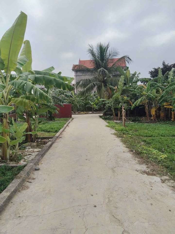 Đất nền Thiên Hương Thủy Nguyên 72m² giá 920 triệu - Cơ hội đầu tư sinh lời!