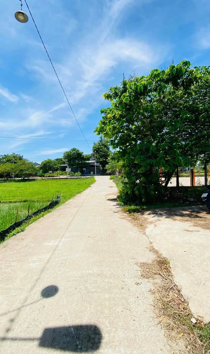 Đất ở Thôn 3, Điện Hồng, 190m² giá 800 triệu - Gần khu dân cư sầm uất!