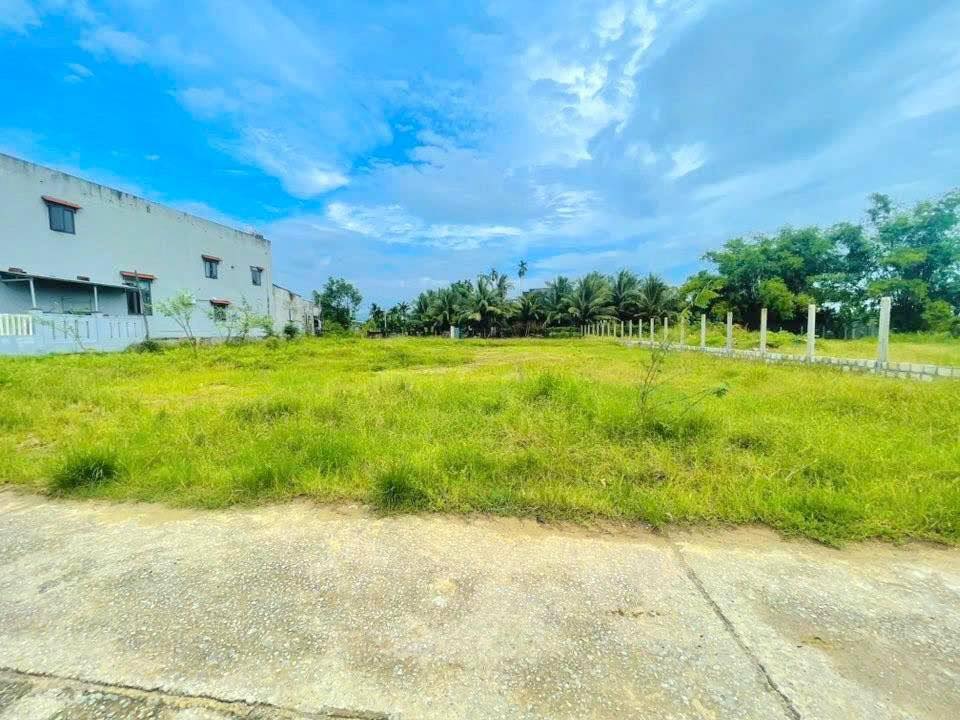 Đất nền Điện Hồng 186m² giá 700 triệu - Sổ hồng trao tay ngay!