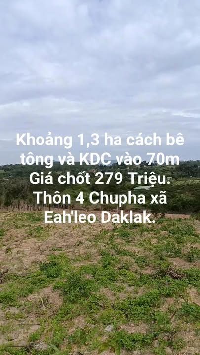 Đất nông nghiệp 1,3 ha tại Thôn 4, xã Ea H'Leo giá chỉ 2.79 tỷ - Cơ hội đầu tư hấp dẫn!