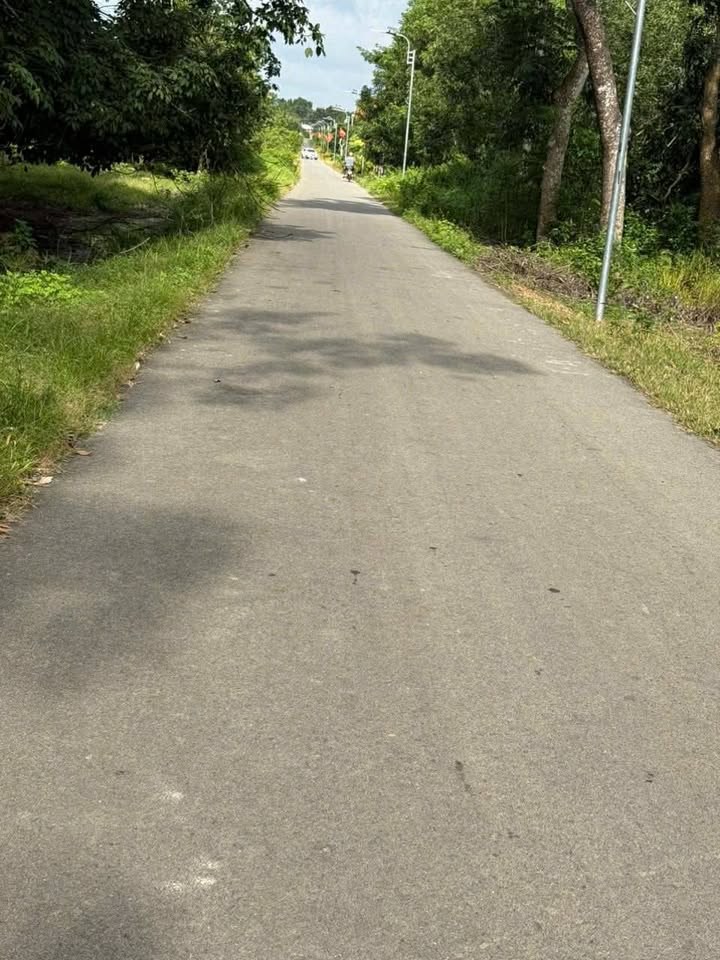 Đất nền Suối Cao 195m² giá chỉ 450 triệu - Sổ đỏ chính chủ, vị trí đẹp!