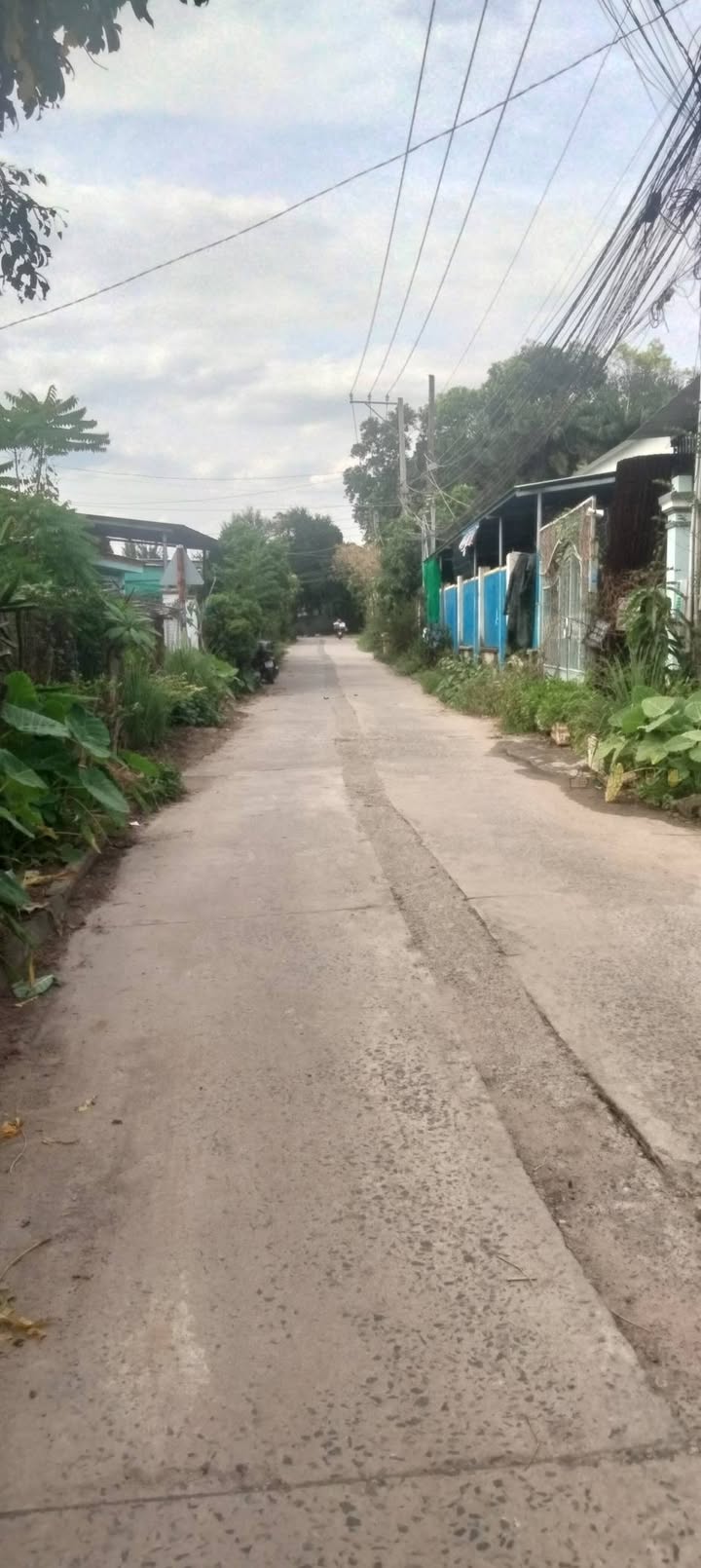 Nhà vườn 500m² tại Ngã ba Bình Ý, Tân Bình, Vĩnh Cửu - Sổ đỏ chính chủ, giá chỉ 2.2 tỷ!