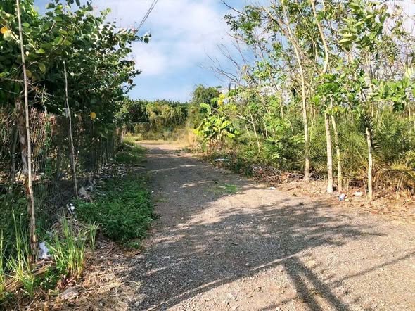 Đất nền 3 mặt tiền Vành Đai 4, Trảng Bom 8600m² - Giá chỉ 6.88 tỷ