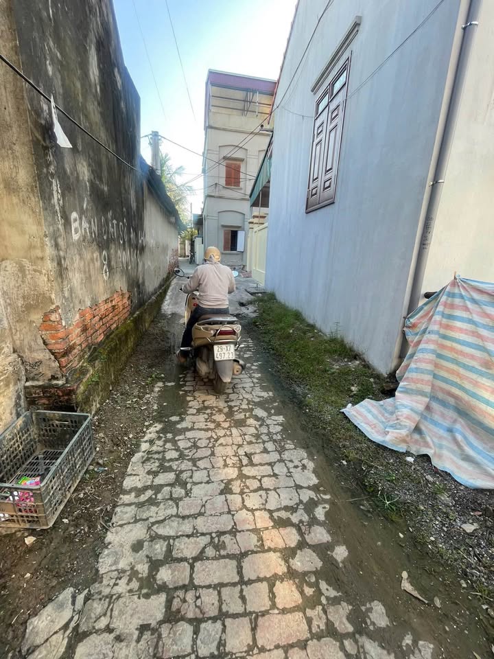 Đất nền Phượng Mỹ, Mỹ Hưng 81.5m² giá chỉ 7x triệu/m² - Cơ hội đầu tư tuyệt vời!