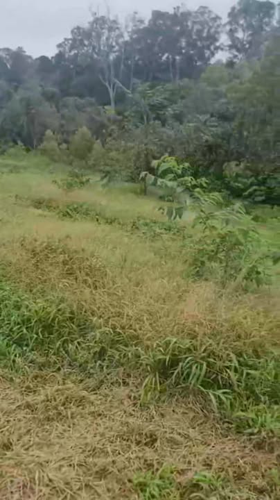 Đất Farm Sơn Lang Kbang 31.000m² giá 2 tỷ - Đầu tư lý tưởng!