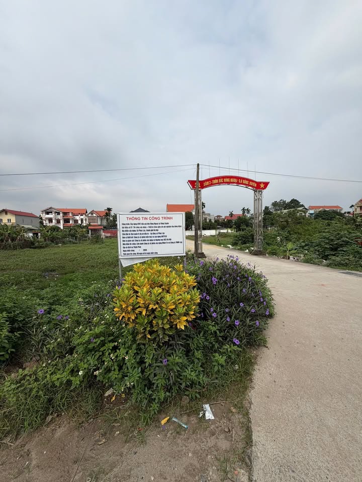 Đất nền Võng Xuyên - Phúc Thọ 90m² giá thỏa thuận - Đầu tư ngay hôm nay!