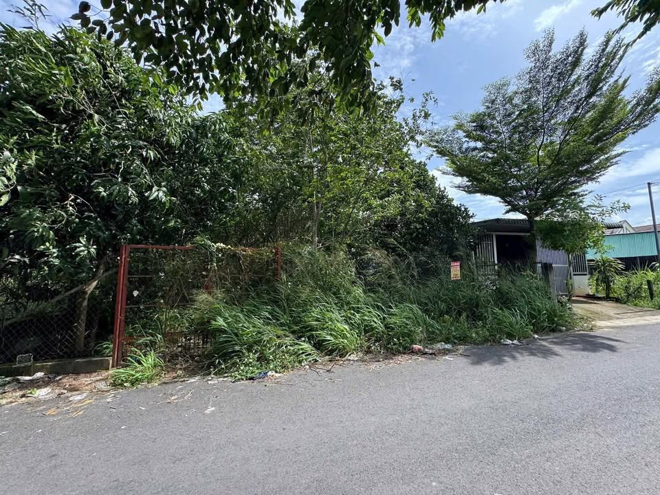 Đất Mặt Tiền Phú An, Bến Cát, Bình Dương 588m² - Giá chỉ 3 tỷ, Đầu tư sinh lời!