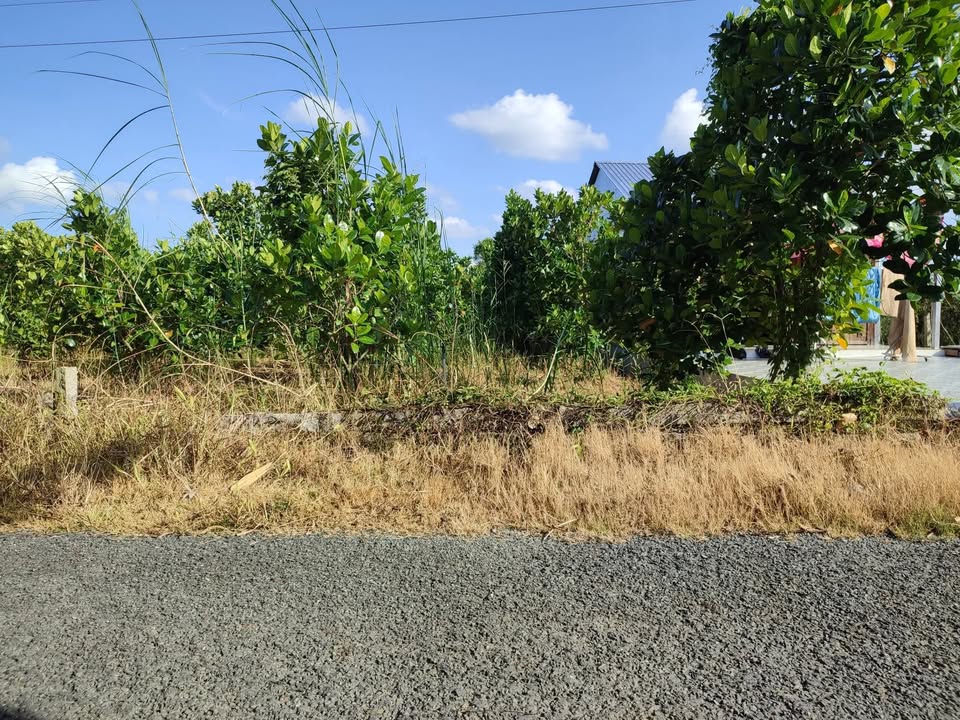 Bán đất nền Tân Nhuận Đông 285m² giá 500 triệu - Cơ hội đầu tư tuyệt vời!