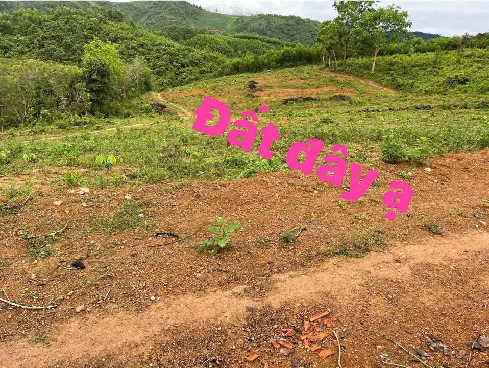 Đất nền Khánh Phú 1ha giá 900 triệu - Đầu tư sinh lời ngay!