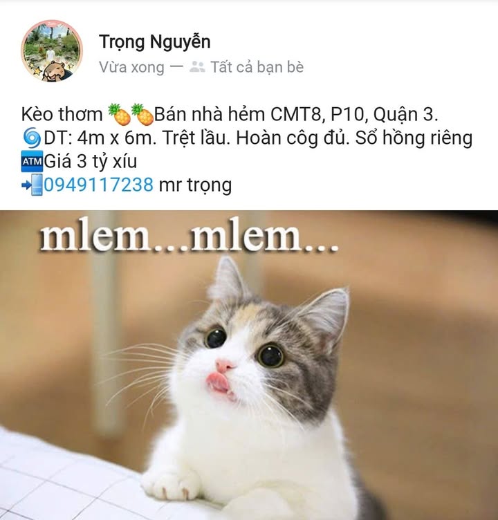 Nhà hẻm Cách Mạng Tháng 8, Quận 3, 24m² giá 3 tỷ - Sổ hồng riêng, đầy đủ nội thất!