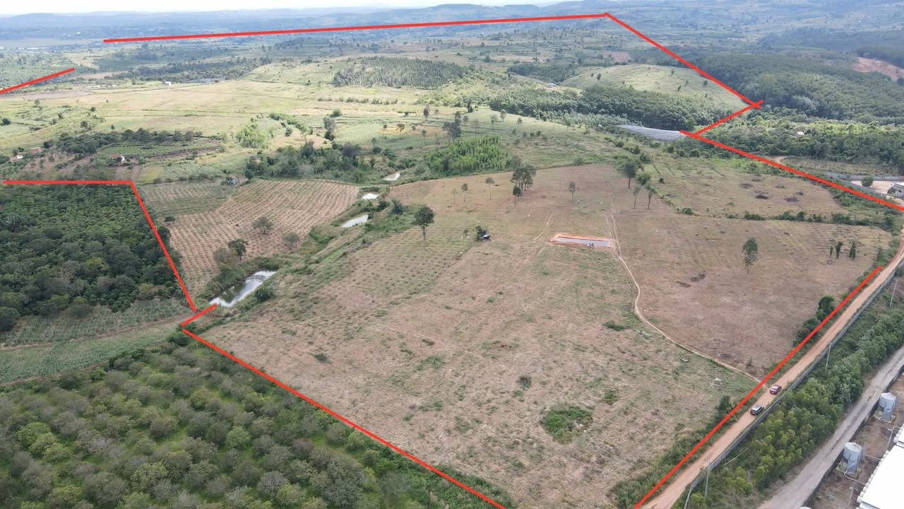 Đất lớn 570.000m² tại Đăk Rông, Cư Jút - Giá 21 tỷ, Đầu tư sinh lời!