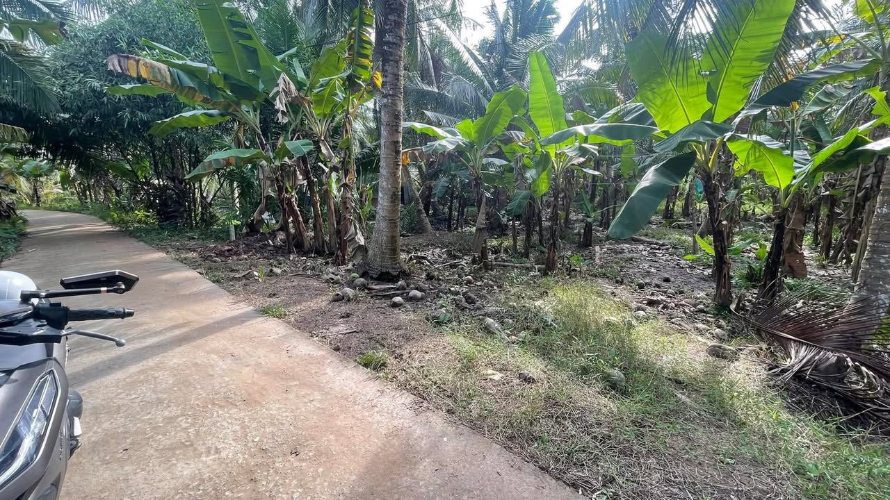 Đất nền mặt tiền Đường Đal Ôtô, xã Tân Thạnh, 270m² giá 400 triệu - Đầu tư sinh lời ngay!