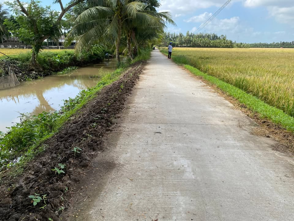 Đất ruộng 4.2 công tại ấp Kinh Xáng, Cầu Kè - Giá chỉ 1.08 tỷ!