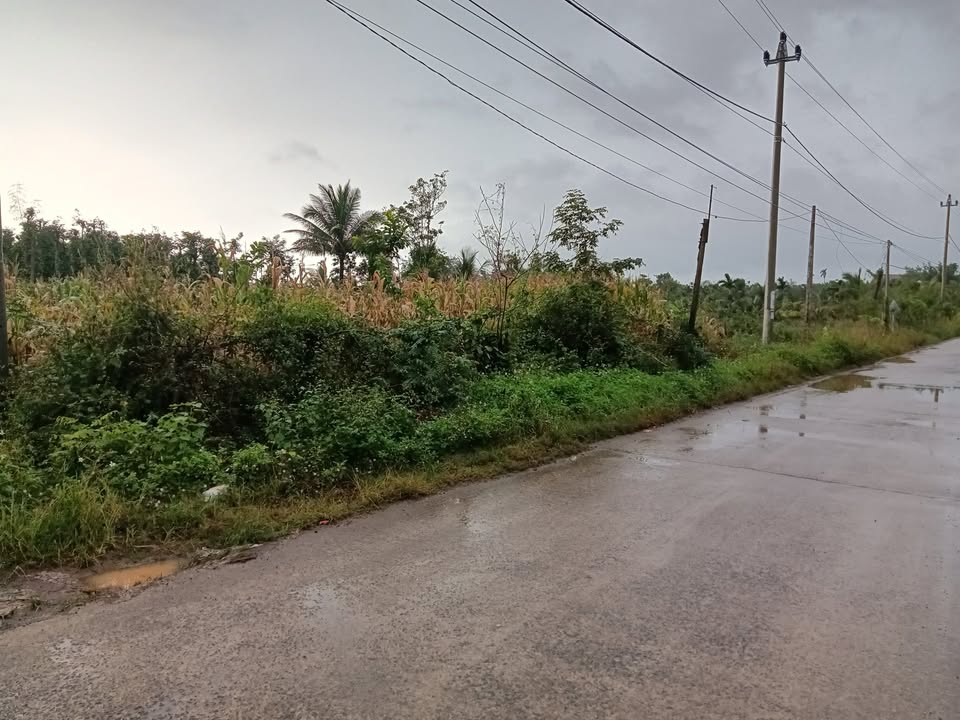 Đất nền đường liên xã Ea Ning 1750m² giá chỉ 1.6 tỷ - Tiềm năng đầu tư lớn!