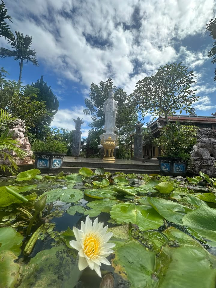 Đất mặt tiền Hùng Vương, Quảng Phú, 600m² giá 7.6 tỷ - Kinh doanh thuận lợi!