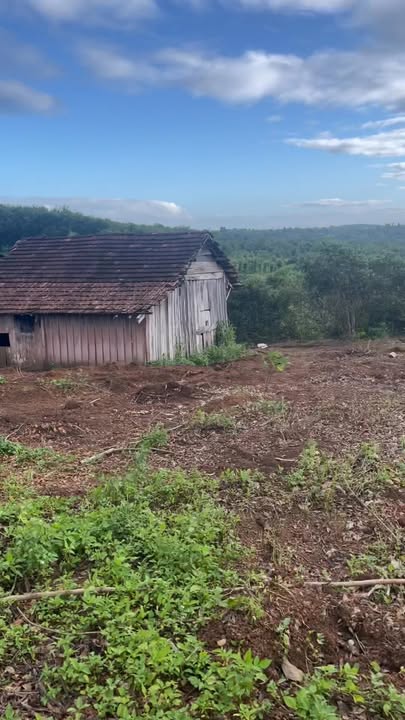 Đất nền Ea Kiết Cư M'gar 10800m² giá 988 triệu - Sổ hồng chính chủ