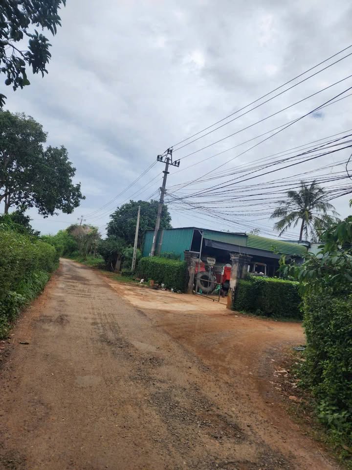 Đất thổ cư tại Buôn Tơng Sinh, Ea Dar 5400m² giá 39.6 tỷ - Cơ hội đầu tư hấp dẫn!