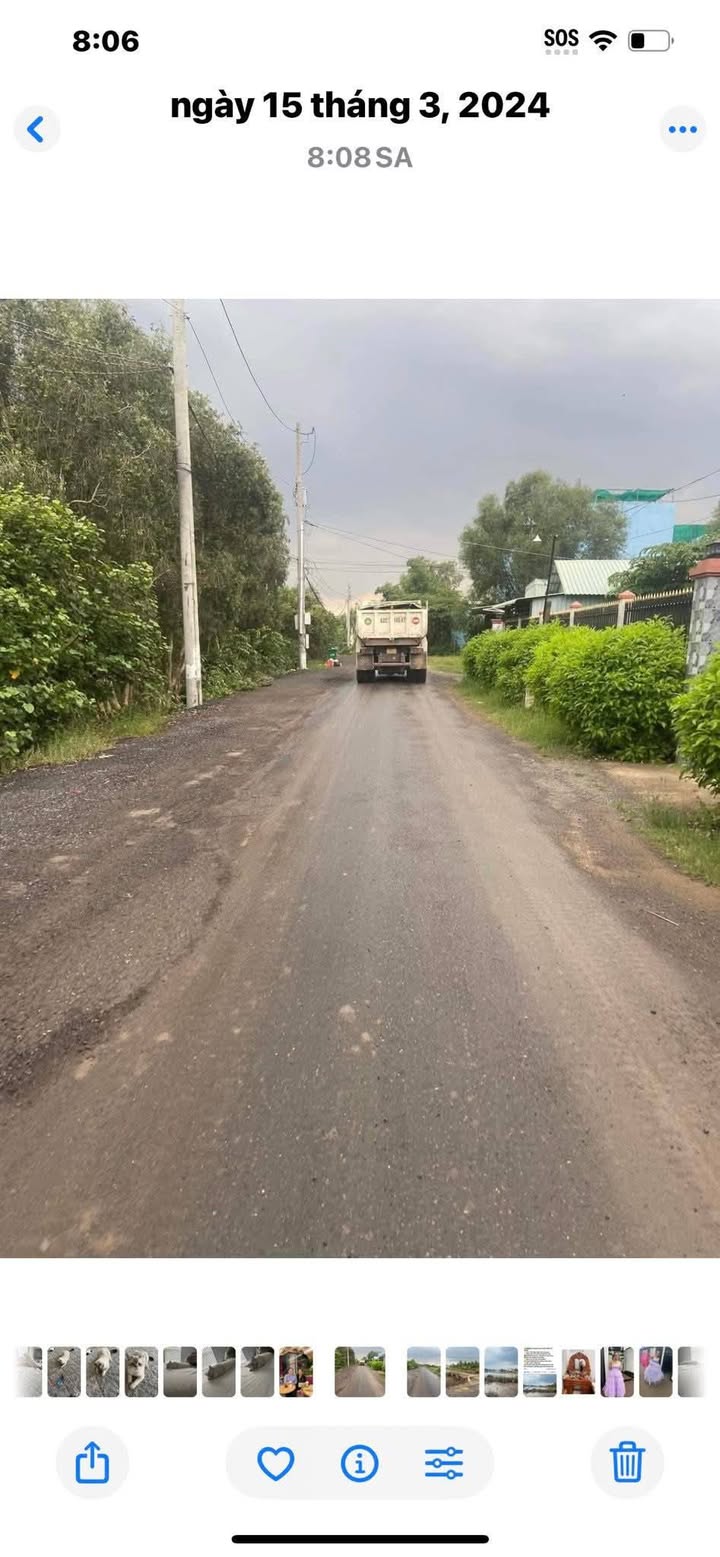 Đất lúa 5.405m² tại Tân Bửu, Bến Lức chỉ 2.8 tỷ - Đường nhựa 12m rộng rãi!