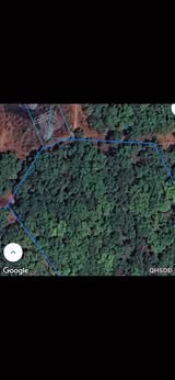 Đất nền xã Bình Minh, Bù Đăng 6 sào giá 680 triệu - Cơ hội đầu tư hấp dẫn!