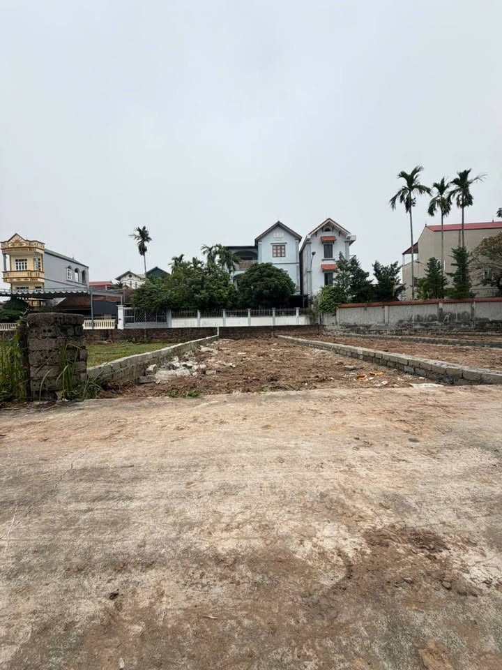 Đất nền Cao Dương, Thanh Oai 98.5m² giá 3 tỷ - Cơ hội vàng cho nhà đầu tư!