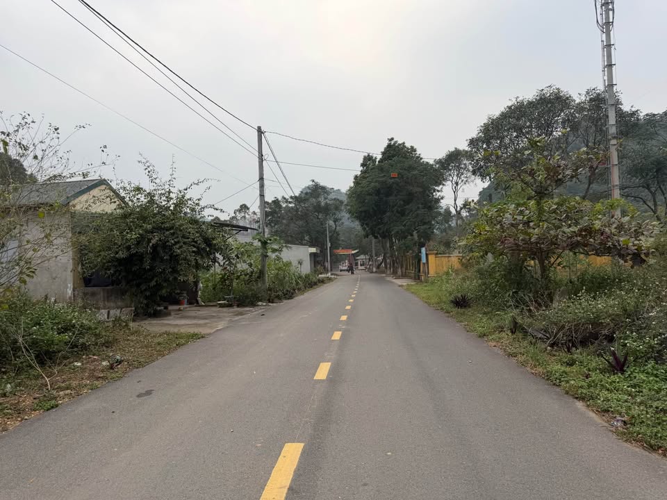 Đất nền phường Quang Sơn, Tam Điệp 100m² giá 700 triệu - Cơ hội đầu tư hấp dẫn!