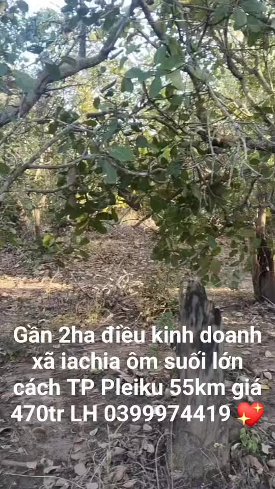 Đất Farm 2ha tại xã Ia Chia, Gia Lai giá 470 triệu - Sổ đỏ chính chủ