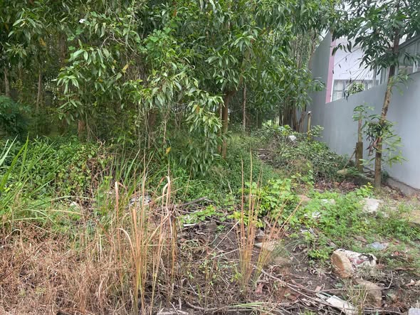 Đất nền Lê Văn Tám, Tân An, La Gi 325m² giá 1.25 tỷ - Đầu tư sinh lời ngay!