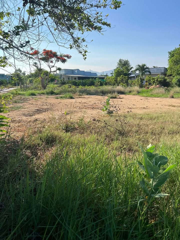 Đất thổ cư 200m² tại thôn 5, xã Hàm Liêm giá 750 triệu - Cơ hội đầu tư tuyệt vời!