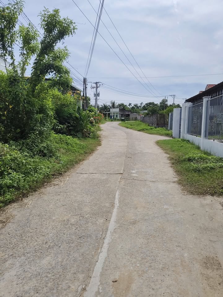 Đất thổ cư 312m² và 1,9 sào cây trồng tại Lâm Hòa, Hàm Thuận Bắc - Giá chỉ 990 triệu!