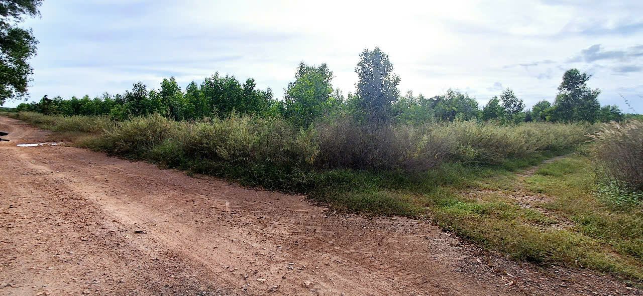 Đất nông nghiệp Hàm Đức 34ha giá 1.4 tỷ - Vị trí đẹp, cơ hội đầu tư!