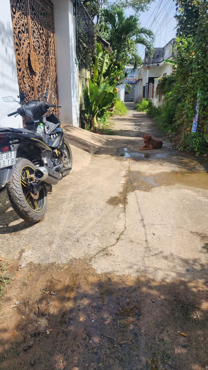 Đất thổ cư Phong Nẫm 168m² giá 1.2 tỷ - Đường ô tô tận nơi!