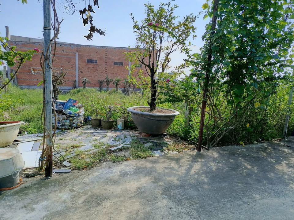 Lô đất thổ cư mặt tiền tại Thôn Đại Thiện 2, 300m² giá 2.1 tỷ - Tiện ích đầy đủ!