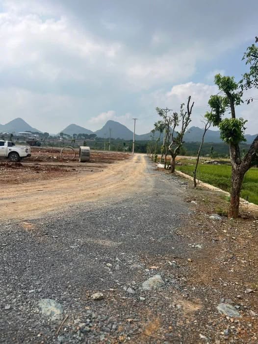 Đất nền mặt đường Đại lộ Đông - Tây, Nho Quan 10.650m² - Cơ hội đầu tư hấp dẫn!