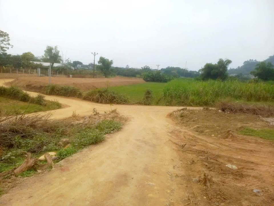 Lô đất Nông Tiến, Tuyên Quang 220m² giá 1.2 tỷ - Cơ hội đầu tư hấp dẫn!