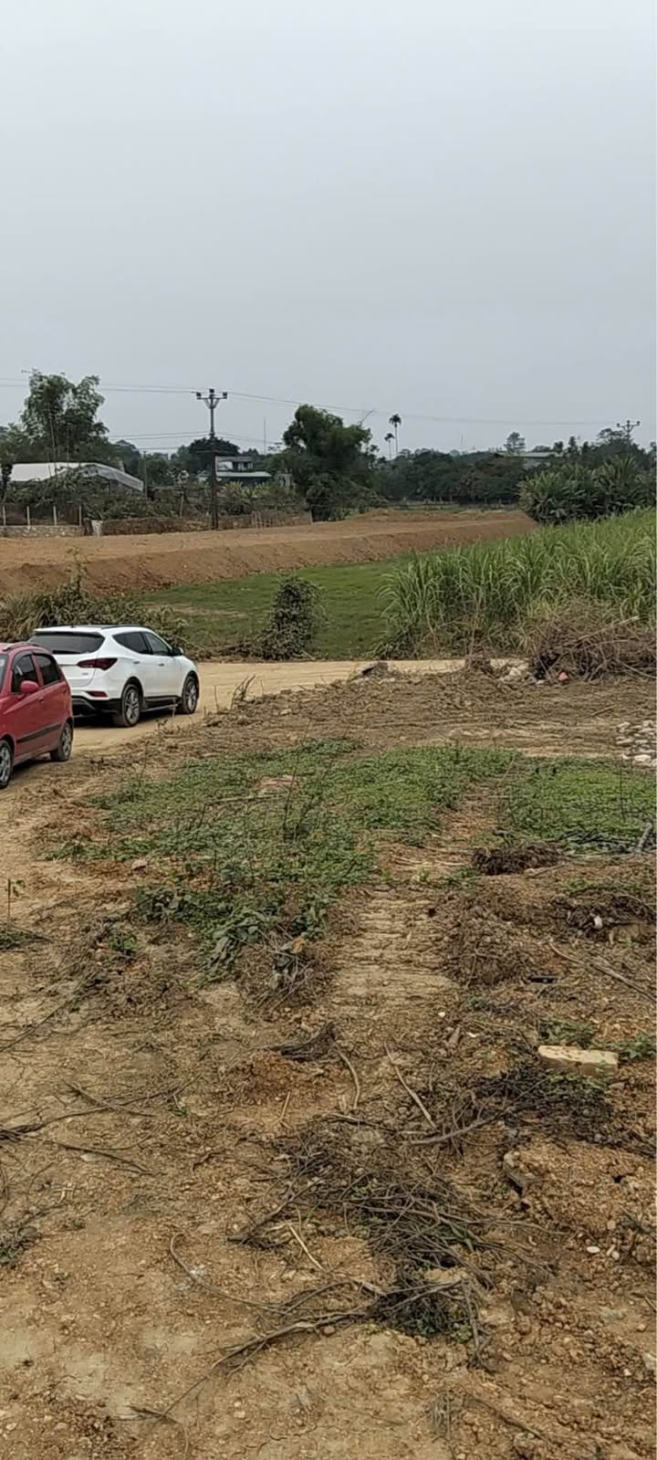 Đất Nông Tiến Tuyên Quang 200m² giá 1 tỷ - Đầu tư sinh lời khôn ngoan!