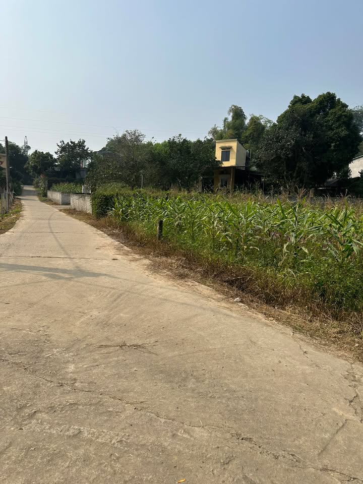 Đất nền Tổ dân phố Ghềnh, xã Yên Sơn 320m² - Chính chủ bán, giá thỏa thuận!