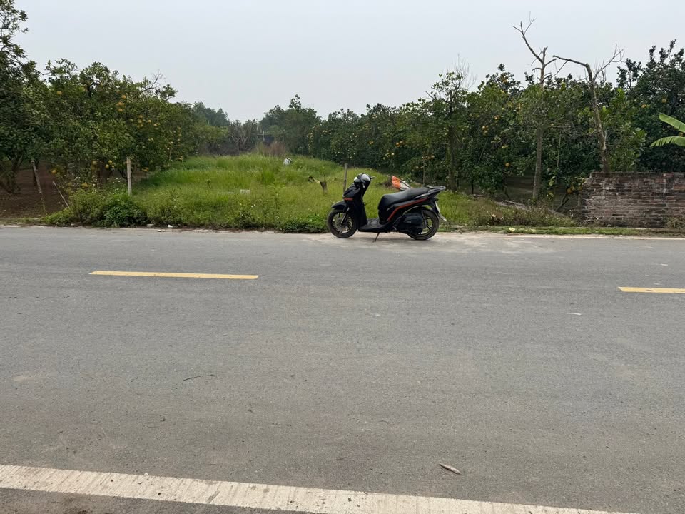 Đất vườn Sài Sơn Quốc Oai 1050m² giá 5.25 tỷ - Đầu tư sinh lời cao!